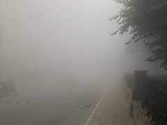Driver Misses Turn Due To Smog In Delhi, Car Falls In Yamuna Killing 2