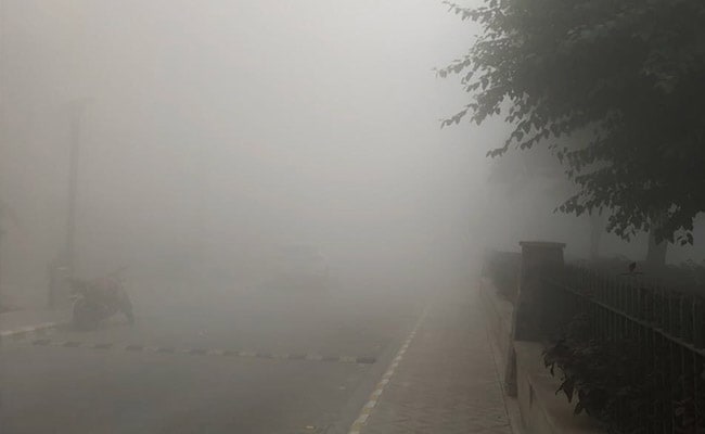 Smog Effect: Punjab Shuts Schools For 3 Days In View Of Road Accidents