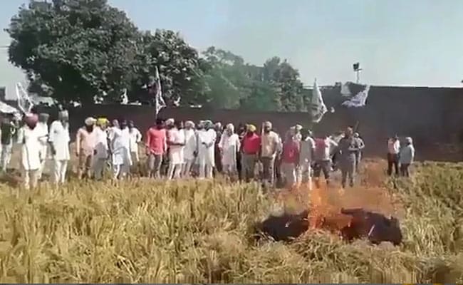 As Arvind Kejriwal Fumes Against Farm Fires, AAP Leader Does It On Camera