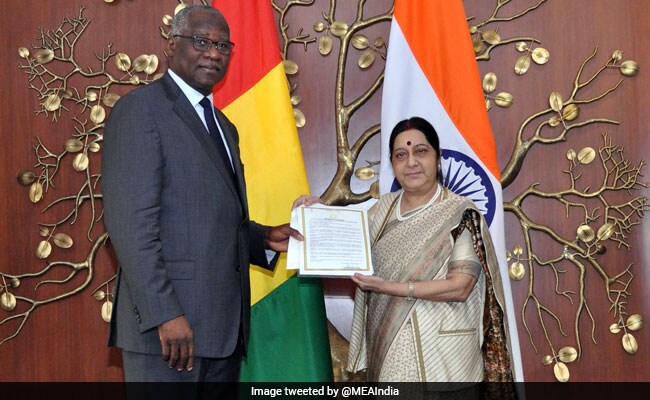 Sushma Swaraj Holds Bilateral Talks With Guinea's Foreign Minister