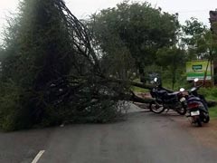 Heavy Rain In Tamil Nadu, Cyclone Ockhi Heads For Lakshadweep: 10 Points