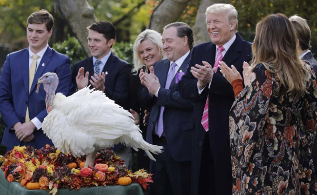Told Pardons Granted To Turkeys By Obama Cant Be Revoked, Quips Trump