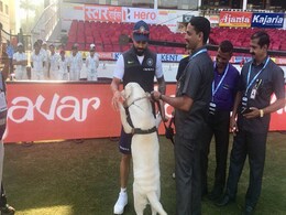 VIDEO: ग्राउंड पर दिखा DOGGY तो देखिए क्रिकेट छोड़ क्या करने लगे कोहली VIDEO: ग्राउंड पर दिखा DOGGY तो देखिए क्रिकेट छोड़ क्या करने लगे कोहली