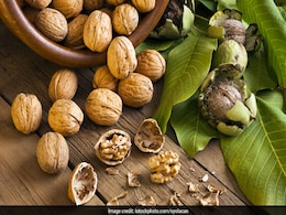 A MUFA Rich Diet May Improve Your Heart Health; Try These Heart- Friendly Foods That May Help! A MUFA Rich Diet May Improve Your Heart Health; Try These Heart- Friendly Foods That May Help!