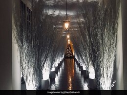 Melania Trump's Christmas Decorations Not So Merry, Says Twitter. Agree? Melania Trump's Christmas Decorations Not So Merry, Says Twitter. Agree?