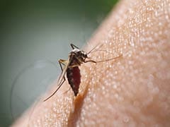 Only 8 Of 100 Malaria Cases Detected In India: WHO