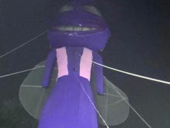 जब सोनपुर में हुआ 40 फुट के मच्‍छर का पुतला दहन...