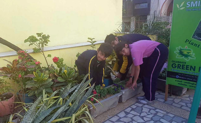 Smiling Tree: Inspiring Story Of Three Young Green Warriors