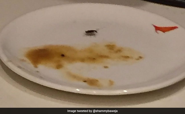 Cockroach In Food Served At Air India VIP Lounge, Airline Apologises Cockroach In Food Served At Air India VIP Lounge, Airline Apologises
