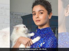 Meet Alia Bhatt, 'Mother Of Cat.' The Internet Hails 'Cuteesi'