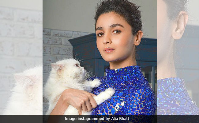 Meet Alia Bhatt, 'Mother Of Cat.' The Internet Hails 'Cuteesi'