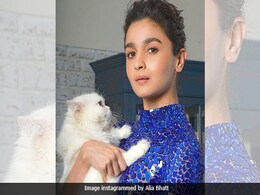 Meet Alia Bhatt, 'Mother Of Cat.' The Internet Hails 'Cuteesi' Meet Alia Bhatt, 'Mother Of Cat.' The Internet Hails 'Cuteesi'