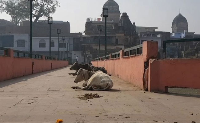In Ayodhya, Young Voices Demand Cleanliness, Development, Jobs