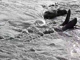 चीन ने ब्रह्मपुत्र नदी के काले पानी के लिए भूकंप का बनाया 'बहाना' चीन ने ब्रह्मपुत्र नदी के काले पानी के लिए भूकंप का बनाया 'बहाना'