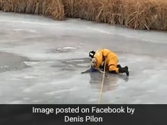 Dog Falls Into Icy Waters. Firefighter Risks Life In Rescue