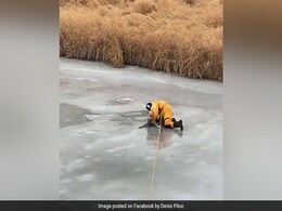 Dog Falls Into Icy Waters. Firefighter Risks Life In Rescue Dog Falls Into Icy Waters. Firefighter Risks Life In Rescue