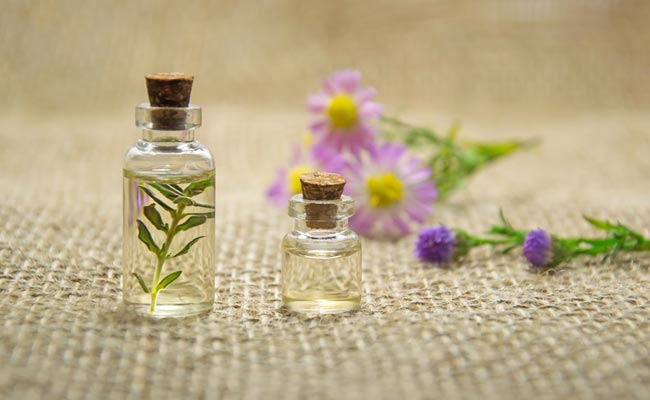 What Are Carrier Oils & Why Does Your Skin Need Them?
