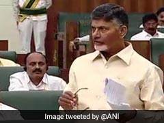 In Call From Dubai, Chandrababu Naidu Tells Lawmakers To Keep Up Protests