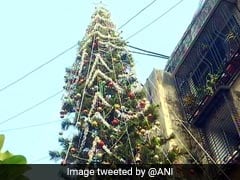 65-Ft-Tall Christmas Tree Cynosure Of All Eyes In Mumbai