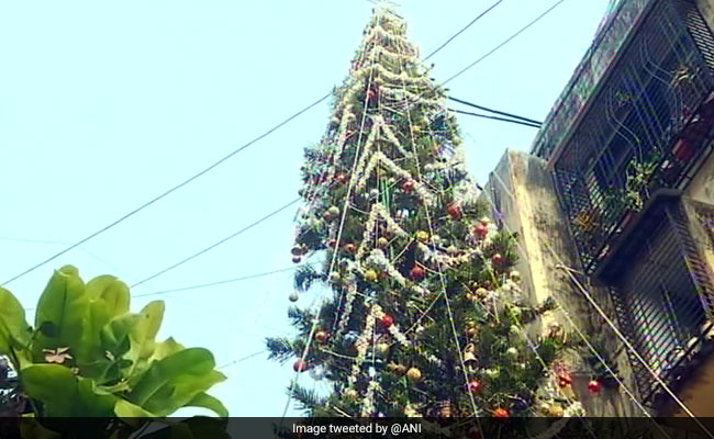 65-Ft-Tall Christmas Tree Cynosure Of All Eyes In Mumbai