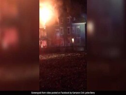 A Woman Tries To Kill Bed Bugs With Alcohol - And Sets A Fire That Leaves 10 Without A Home A Woman Tries To Kill Bed Bugs With Alcohol - And Sets A Fire That Leaves 10 Without A Home