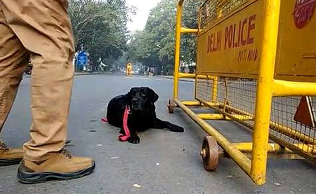 दिल्ली में बढ़ा क्राइम, बीते साल में करीब सवा दो लाख मामले दर्ज