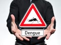 As Dengue Cases Increase, Luke Coutinho Shares A Few Home Remedies To Stay Healthy