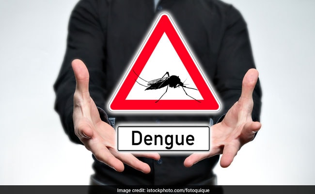 18 Fresh Dengue Cases At Year End; Here's How You Can Save Yourself Naturally!