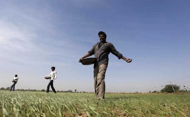 Maharashtra Approves Rs 11 Crore For Farmers Hit By Untimely Rains