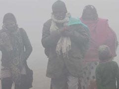 Dense Fog Hits Delhi On Year's Last Day, Visibility Very Low