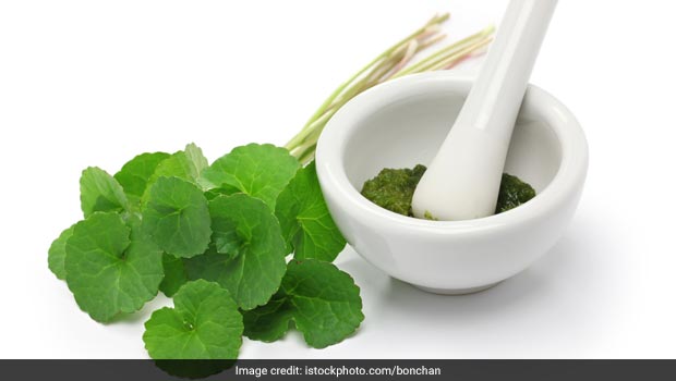 gotu kola