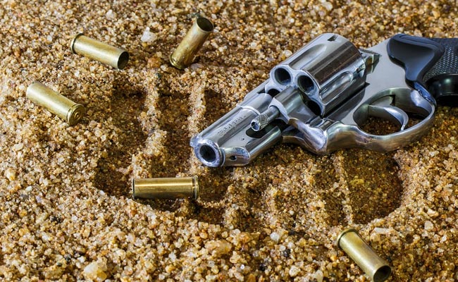 Madhya Pradesh Minister Calls For Speedy Issuance Of Weapon Licenses To Women