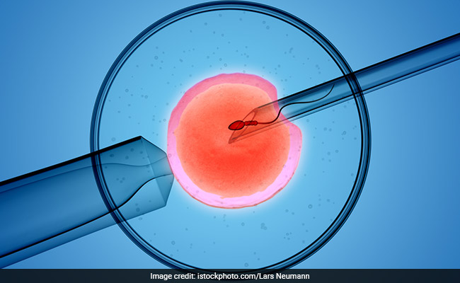 2 Women Challenge IVF Age Cap, Bombay HC Allows Fitness Tests For Now