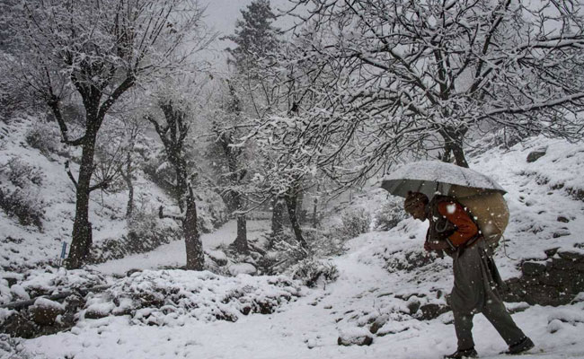 हिमाचल में कम बर्फबारी ने बढ़ाई सेब उगाने वाले किसानों की मुश्किल,  जानें कुल्लू के मौसम का हाल