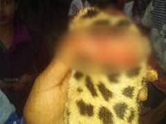 In Assam, Mob Hunts And Eats Leopard Who Killed 60-Year-Old Woman