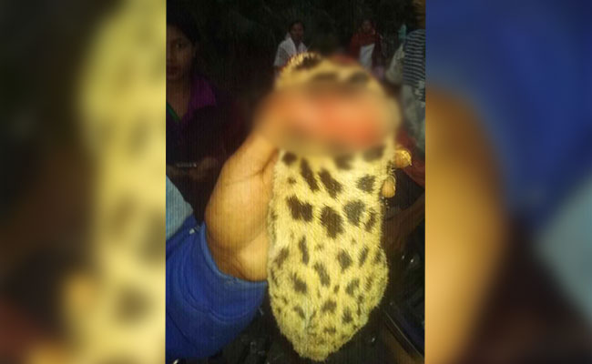 In Assam, Mob Hunts And Eats Leopard Who Killed 60-Year-Old Woman