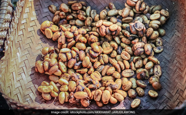 Ever Heard Of Cat Poop Or Kopi Luwak Coffee: Should You Switch To These?