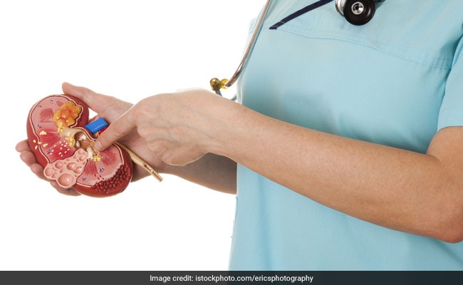 World Kidney Day: Here's How You Can Maintain Calorie Intake For Weight Loss, Improve Kidney Health