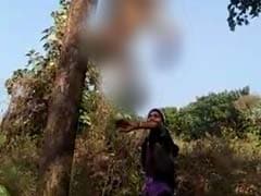Man Arrested After Video Of Killing A Monkey Goes Viral In Mumbai