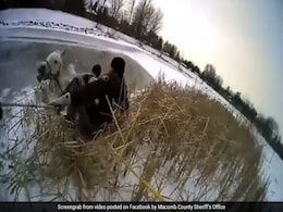 Horse Falls Into Icy Pond, So Does Cop During Rescue. Caught On Camera Horse Falls Into Icy Pond, So Does Cop During Rescue. Caught On Camera