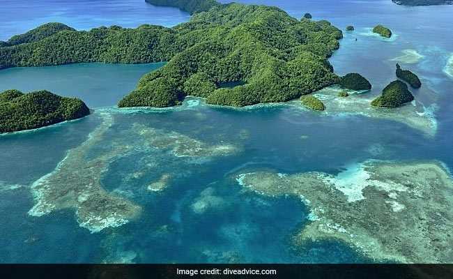 Palau Records First Coronavirus Case But Says No Infection Risk