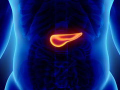 Pancreatic Cancer Signs: शरीर में अचानक ये बदलाव दिखें तो अलर्ट हो जाएं, अग्नाशय कैंसर का हैं शुरुआती संकेत