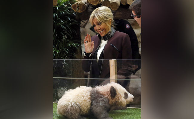 "Godmother" Brigitte Macron Names France's First Baby Panda