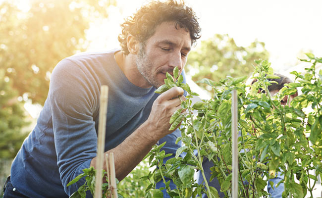 Here's Why Some Odours Make You Feel Nostalgic