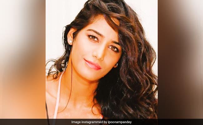 Poonam Pandey Pron Vidoe - Actor Poonam Pandey Gets Protection From Arrest In Porn Case