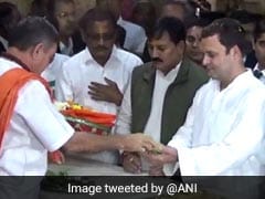 Rahul Gandhi Gujarat Visit Highlights: Congress Chief Offers Prayers At Somnath Temple, Will Review Election Result Next