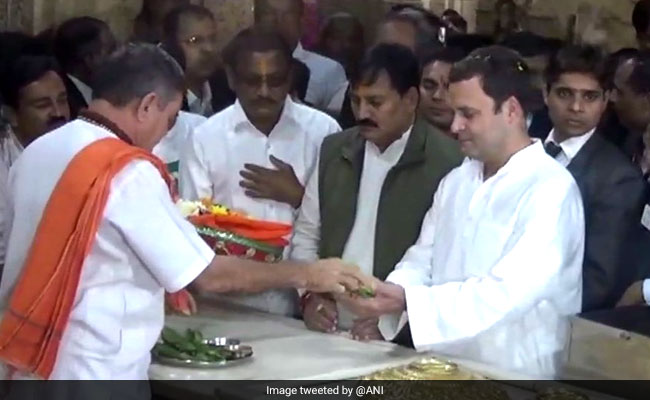 Rahul Gandhi Gujarat Visit Highlights: Congress Chief Offers Prayers At Somnath Temple, Will Review Election Result Next