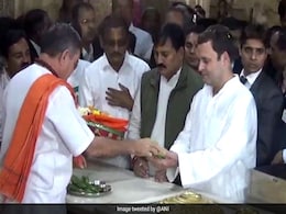 Rahul Gandhi Gujarat Visit Highlights: Congress Chief Offers Prayers At Somnath Temple, Will Review Election Result Next Rahul Gandhi Gujarat Visit Highlights: Congress Chief Offers Prayers At Somnath Temple, Will Review Election Result Next