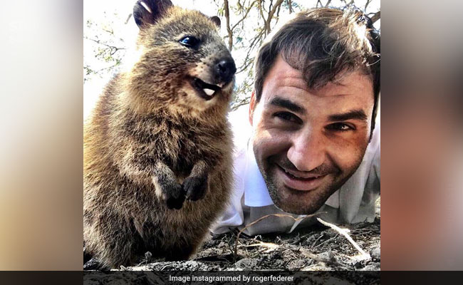 Roger Federer's Selfie With World's Happiest Animal Is Instant Pick-Me-Up