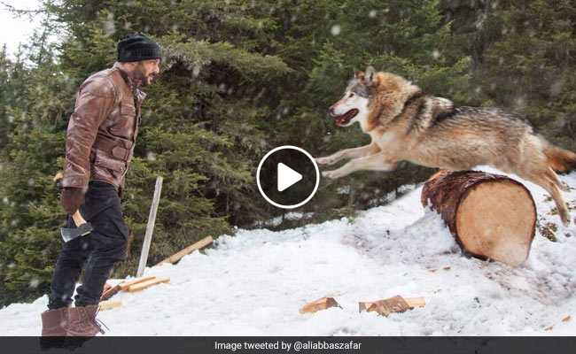 सलमान खान का भेड़िये से लड़ते हुए VIDEO हुआ रिलीज, देखकर रोंगटे हो जाएंगे खड़े